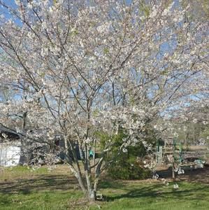 Meet your Posher, Terry